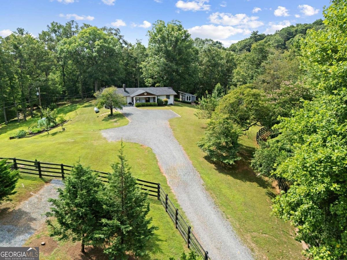 307 Pleasant Gap Cemetery Drive Ellijay - 50