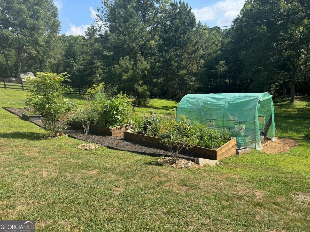 307 Pleasant Gap Cemetery Drive Ellijay - 9