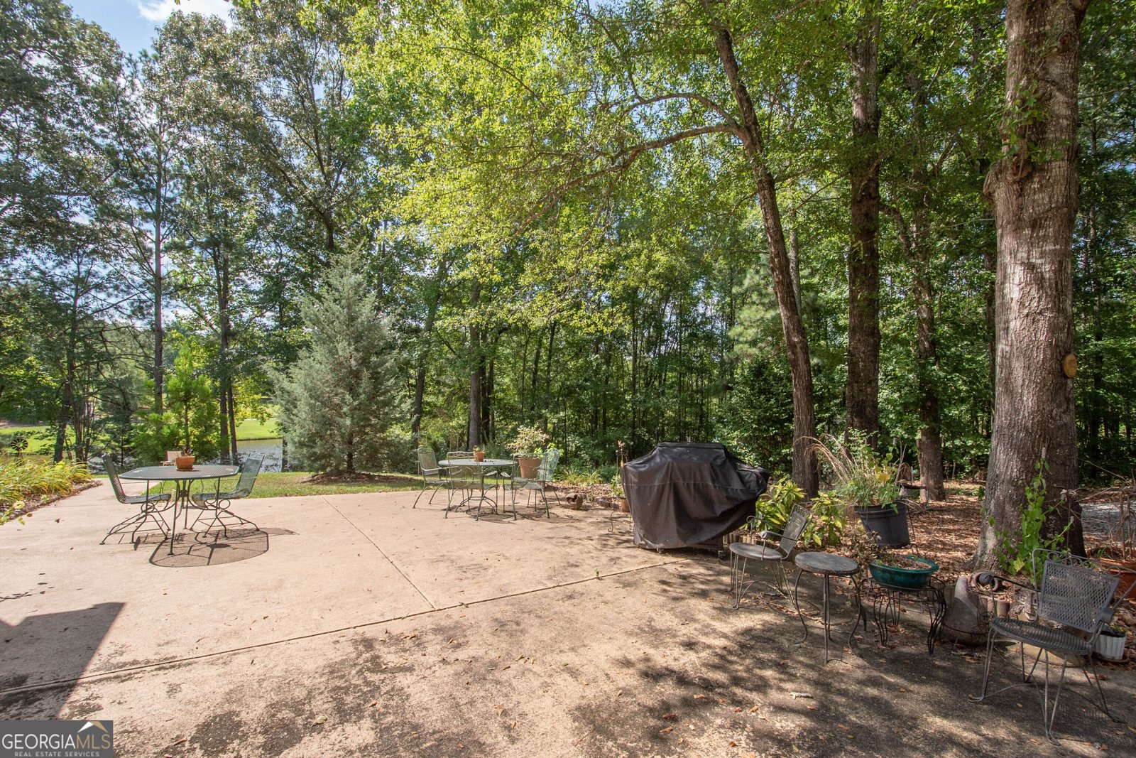 90 Todd Road Senoia - 28