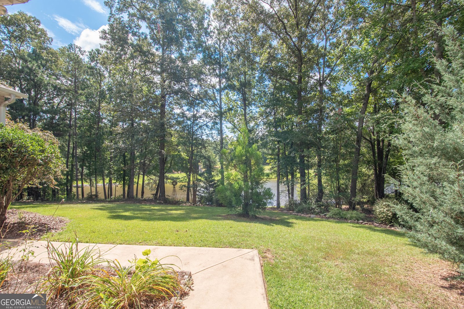90 Todd Road Senoia - 29