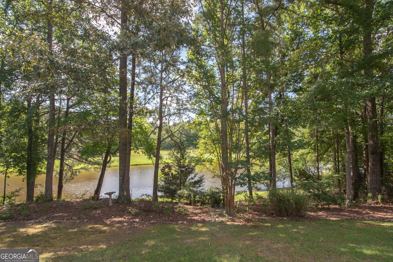 90 Todd Road Senoia - 31