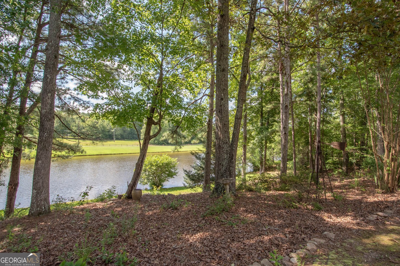 90 Todd Road Senoia - 32