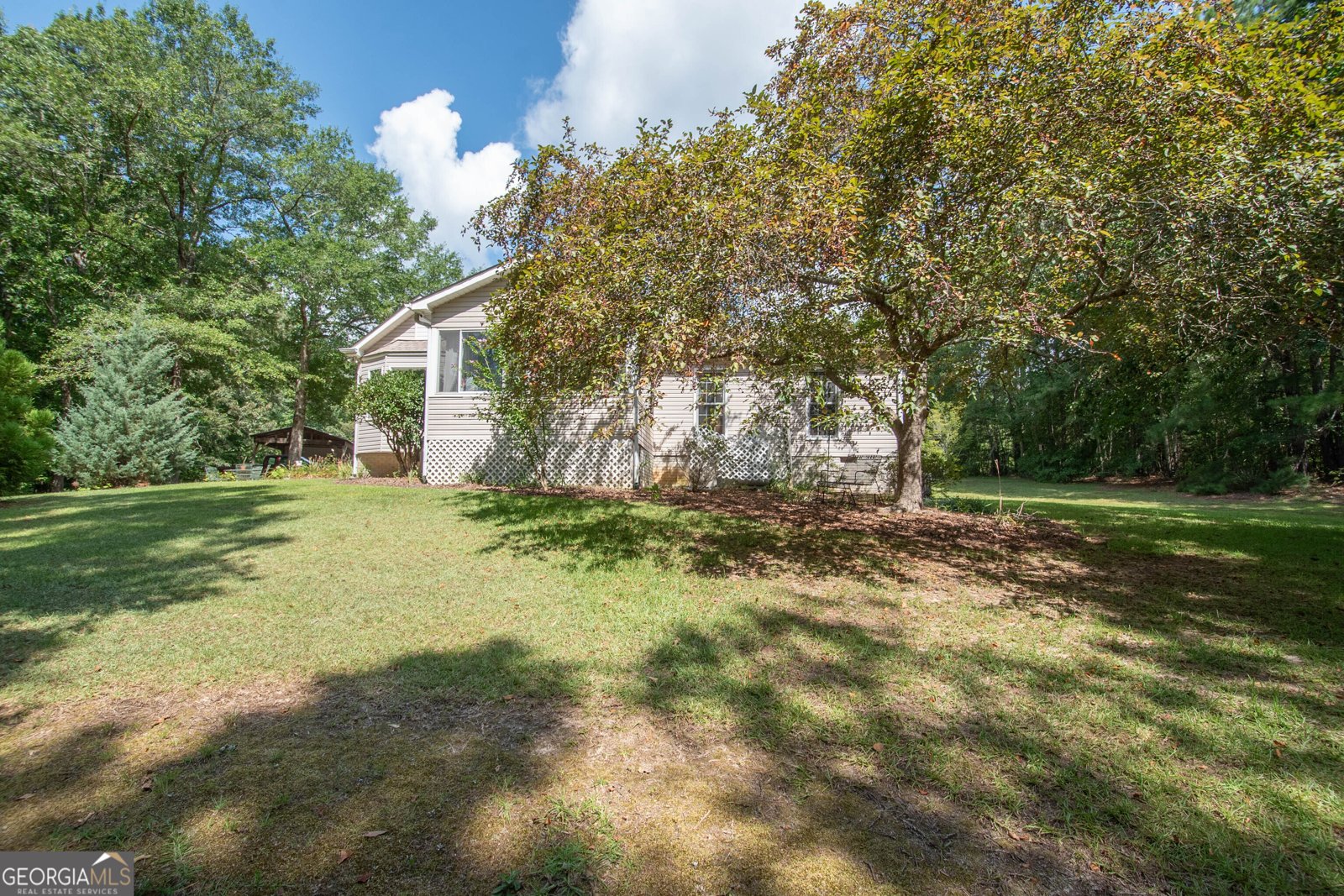 90 Todd Road Senoia - 33