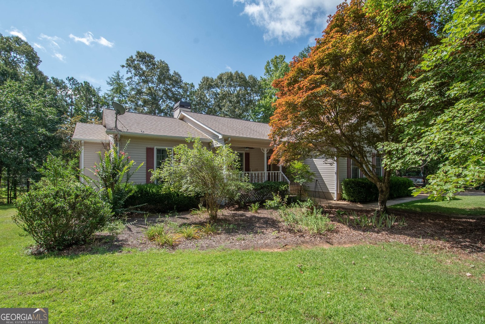 90 Todd Road Senoia - 4