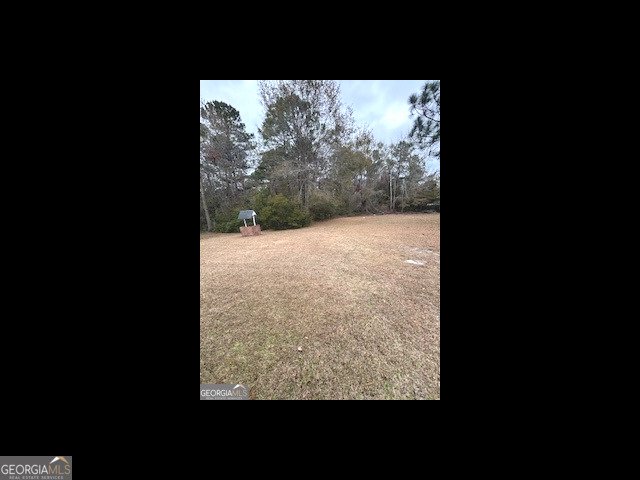 1473 Ben Gay Way Hinesville - 36