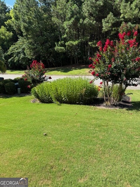 1114 Southland Bluff Stone Mountain - 8