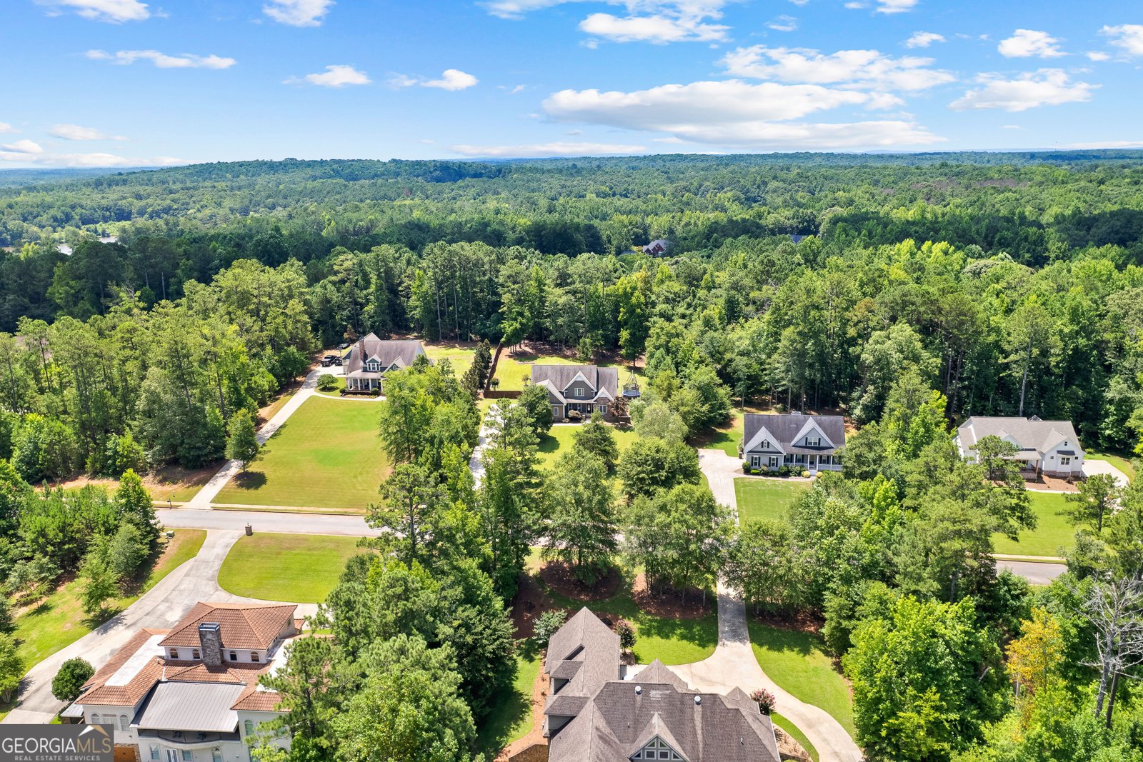 534 Deer Lake Drive Griffin - 64