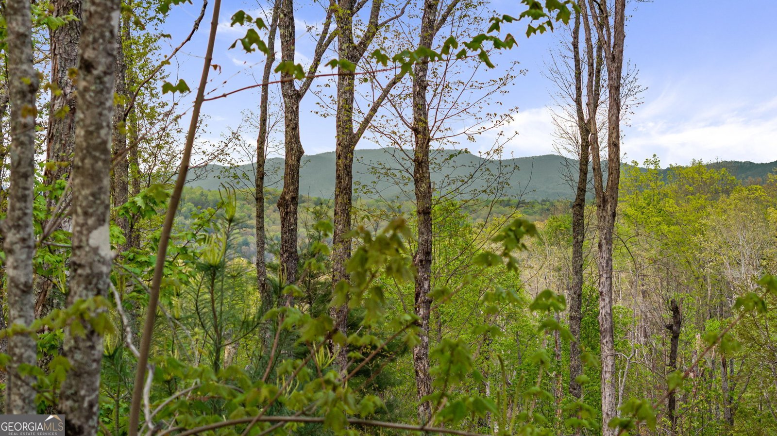66 Valley Overlook Drive Cherry Log - 32