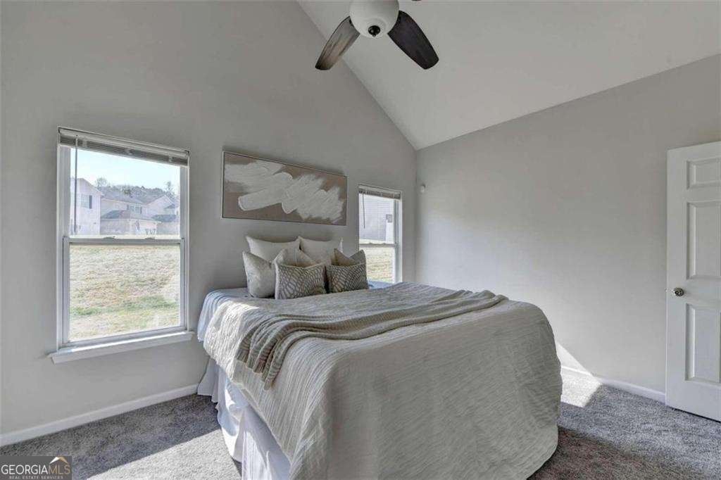 4605 Blue Iris Way Oakwood - 23