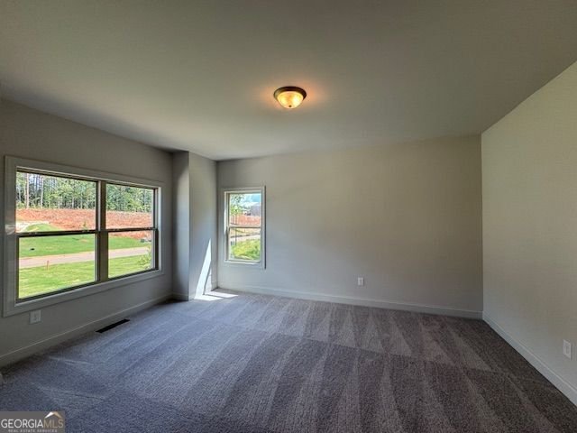 44 Palomino Circle Hoschton - 15