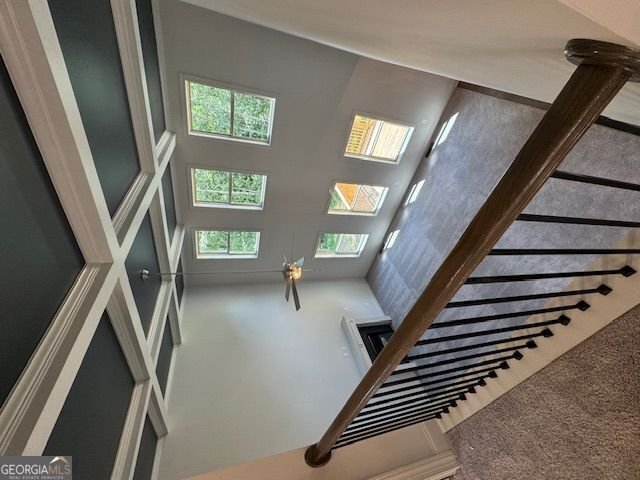 44 Palomino Circle Hoschton - 20