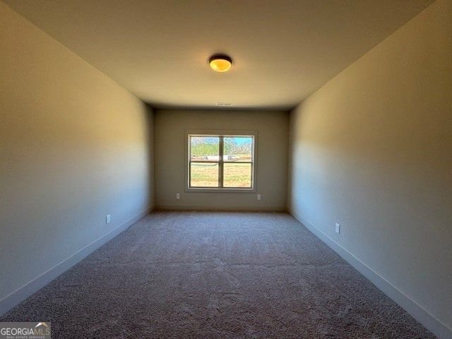 44 Palomino Circle Hoschton - 28