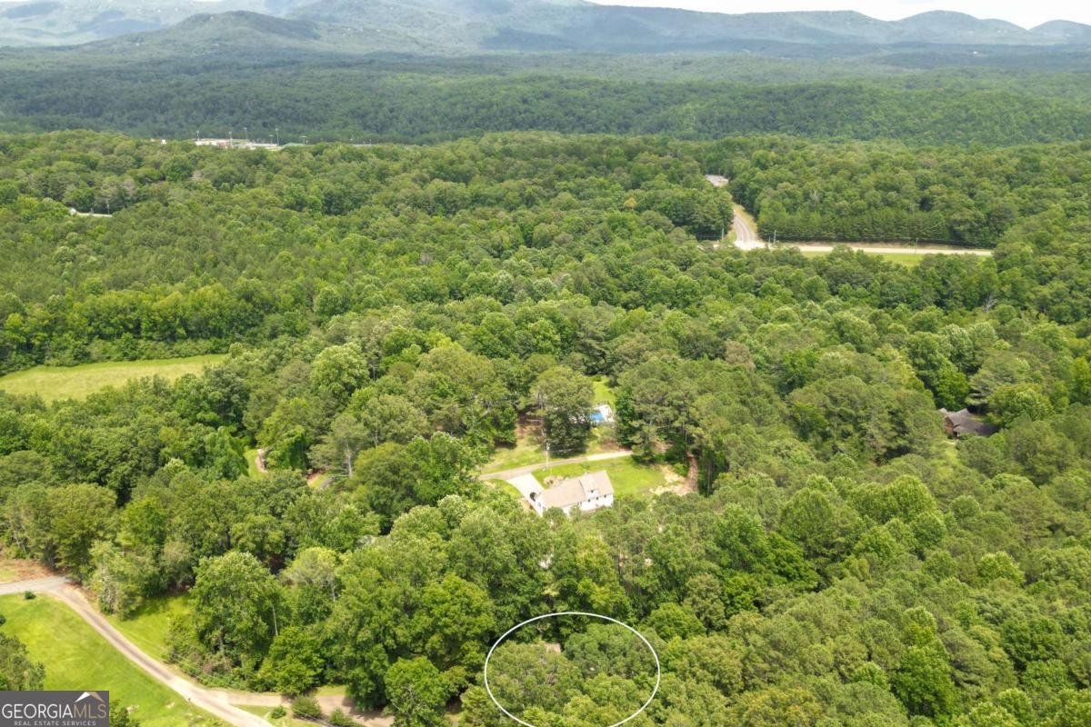 41 Clark Station Road Jasper - 59
