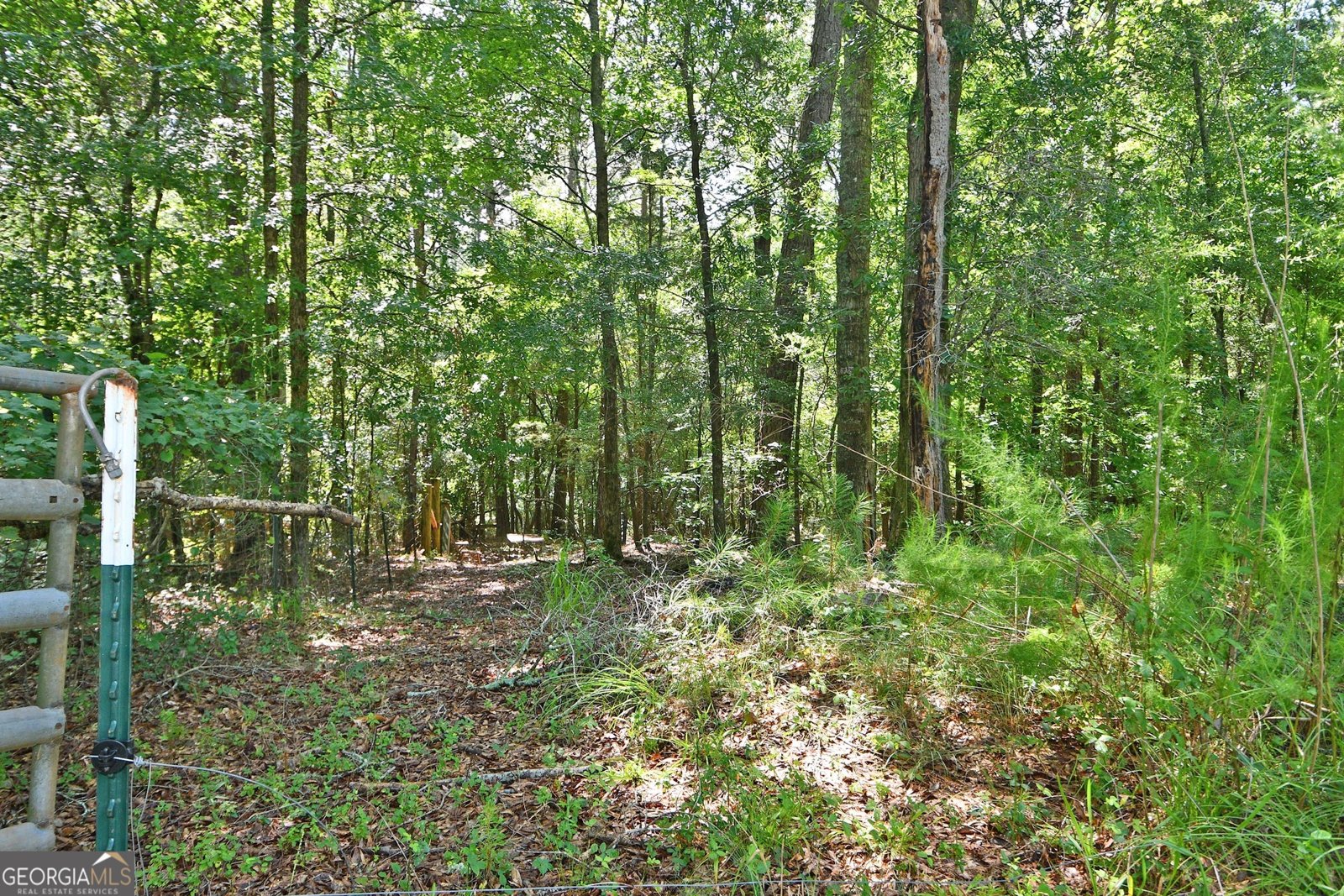 2225 Smokey Road Lagrange - 7