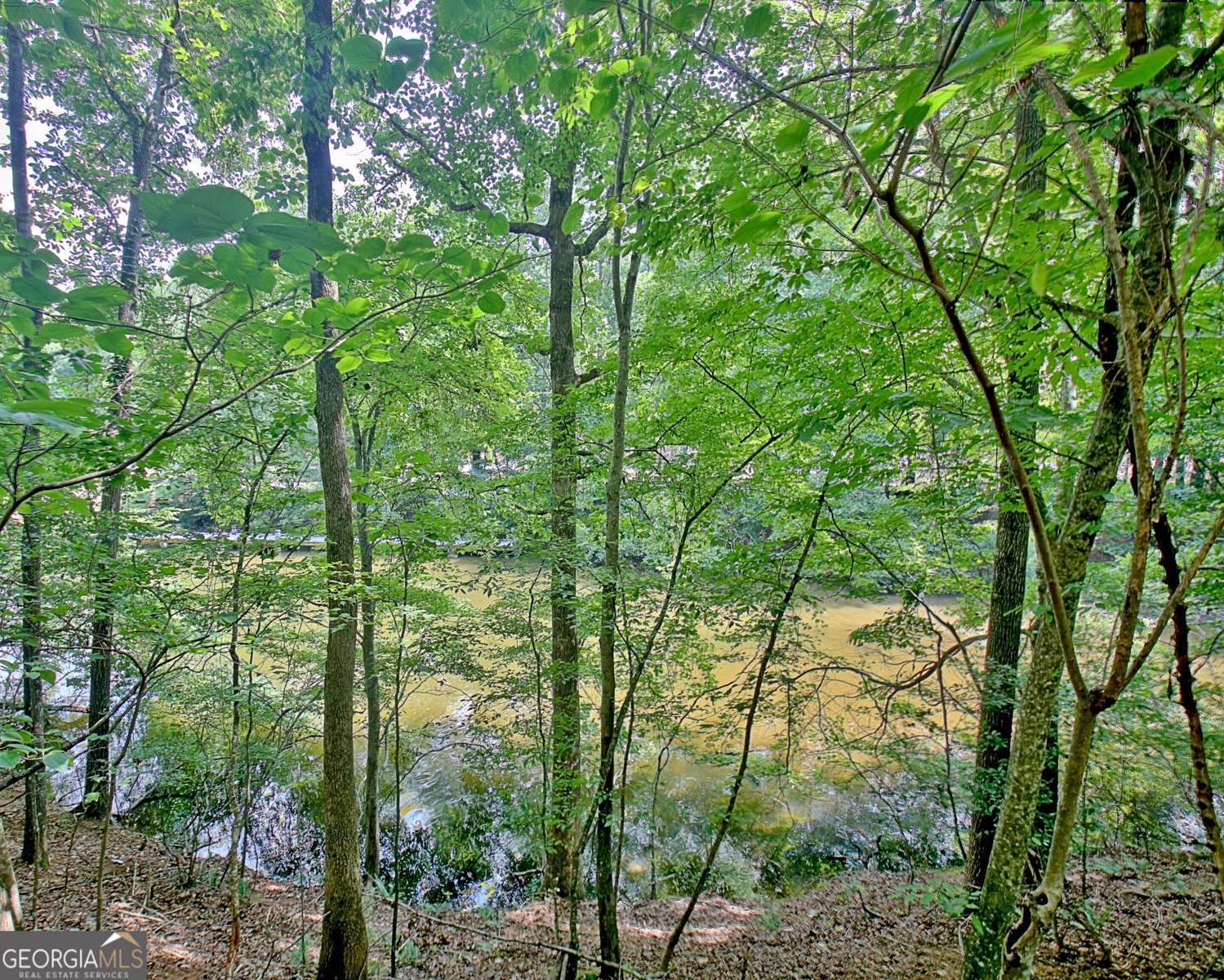 171 Interlochen Drive Peachtree City - 82