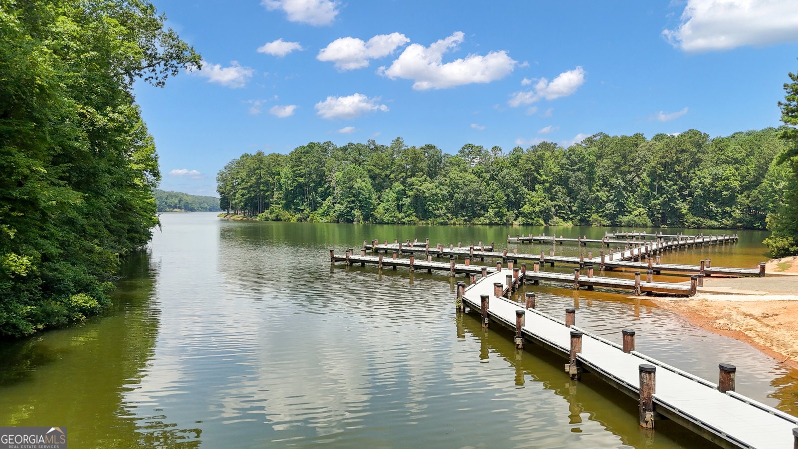 171 Interlochen Drive Peachtree City - 93