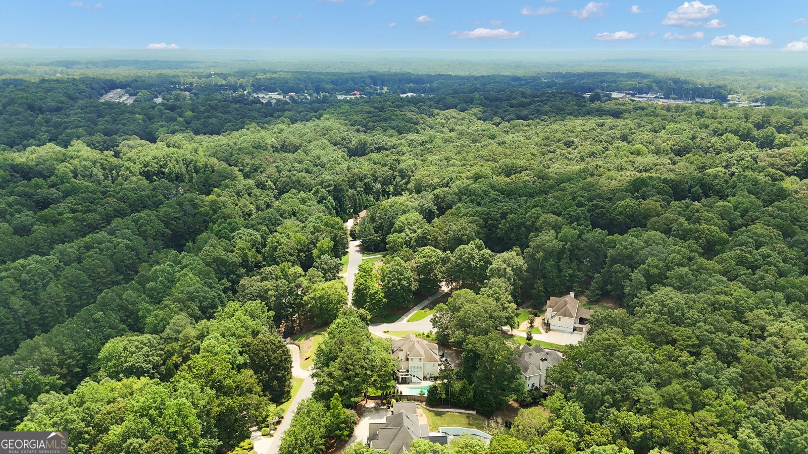 171 Interlochen Drive Peachtree City - 94
