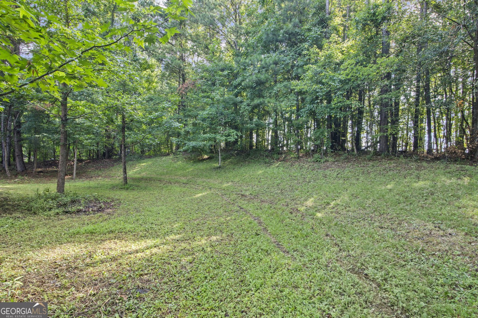 45 Ashley Woods Drive Newnan - 16