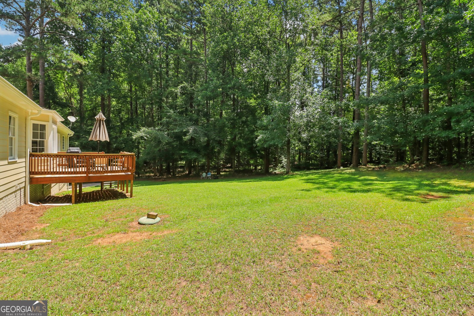 145 Butterfield Lane Fayetteville - 60