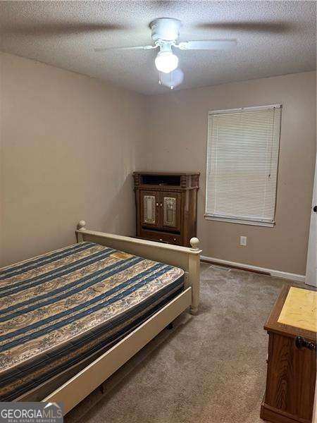251 Cedar Creek Drive Dallas - 12