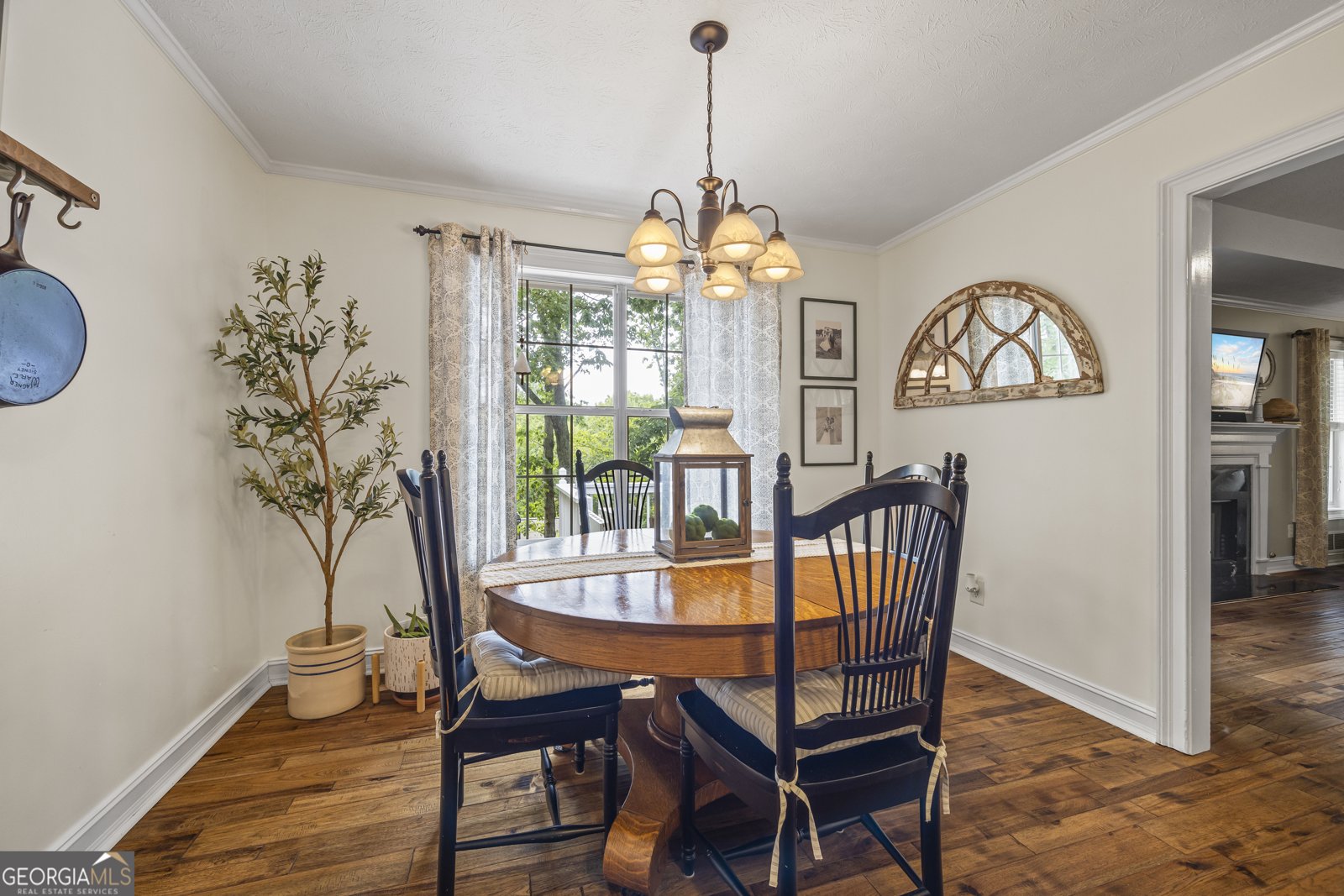 579 Willows Drive Cleveland - 30