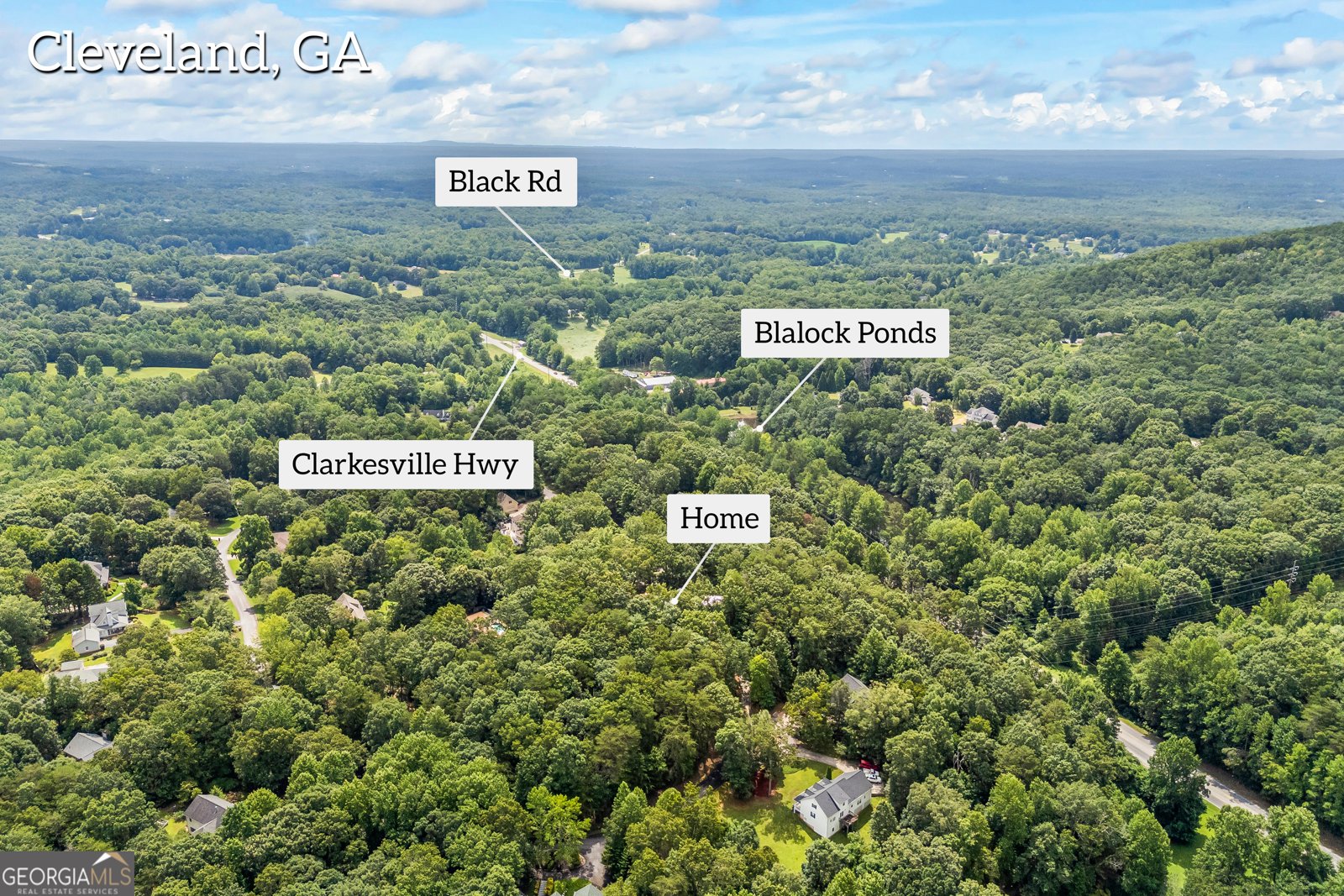 579 Willows Drive Cleveland - 63