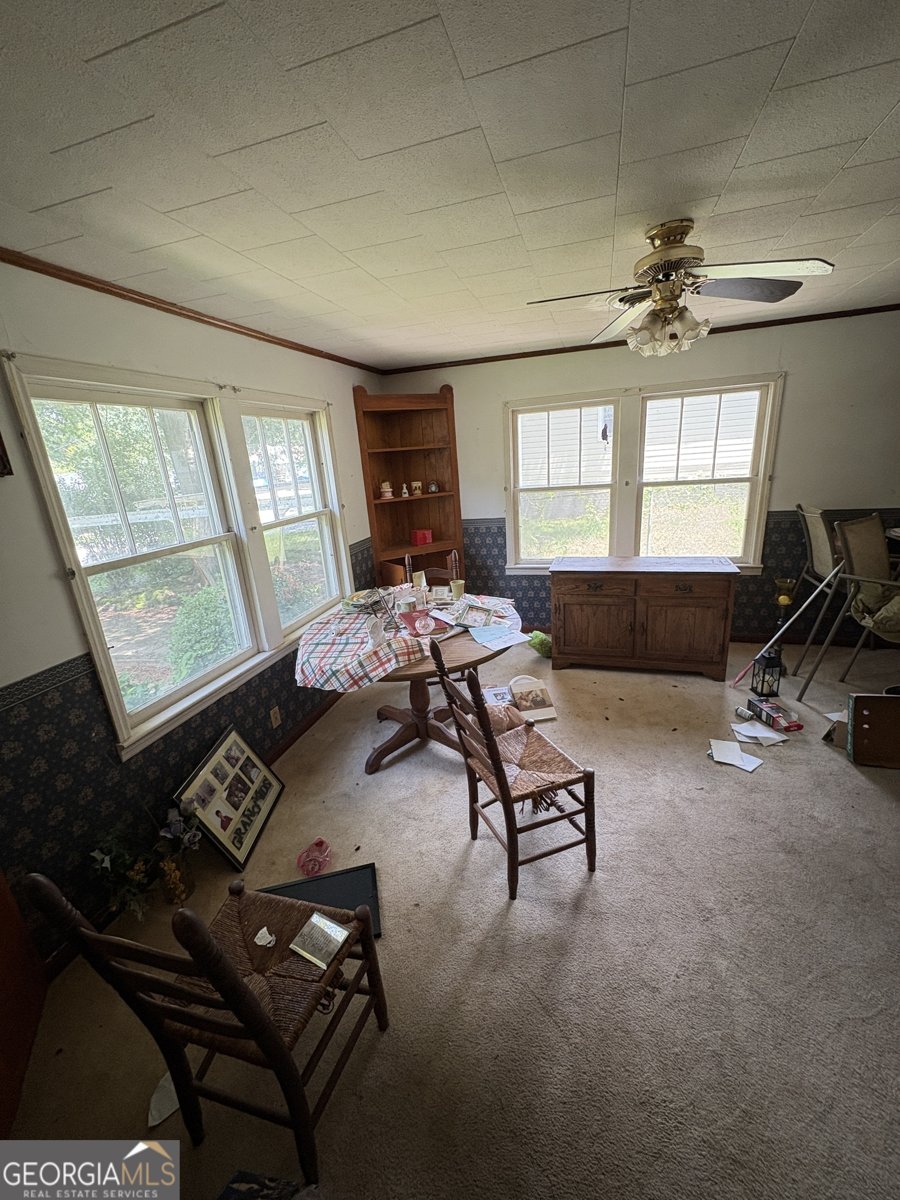 204 Cleaveland Drive Lagrange - 10