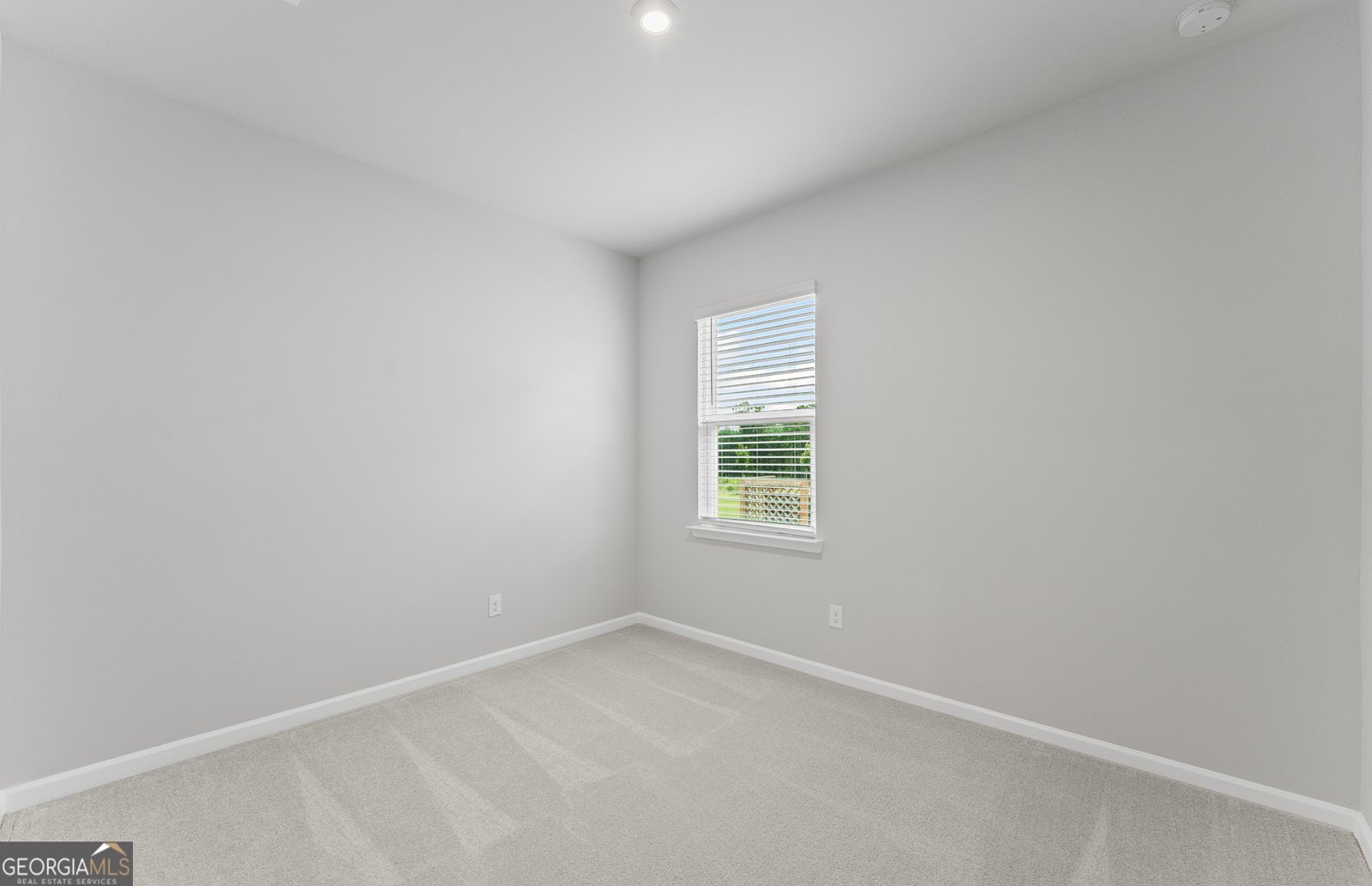 356 Rock View Lane Covington - 19