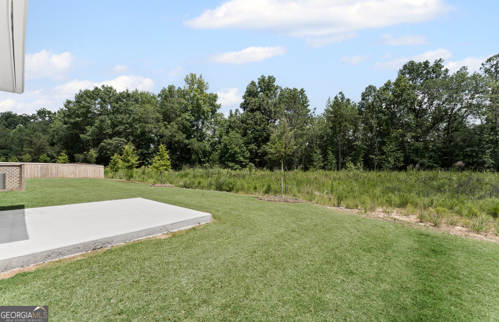 356 Rock View Lane Covington - 28