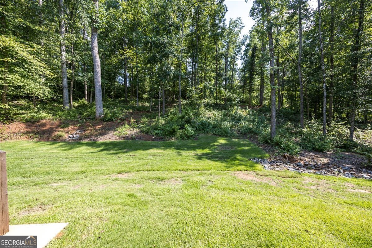 105 Fox Court Forsyth - 39
