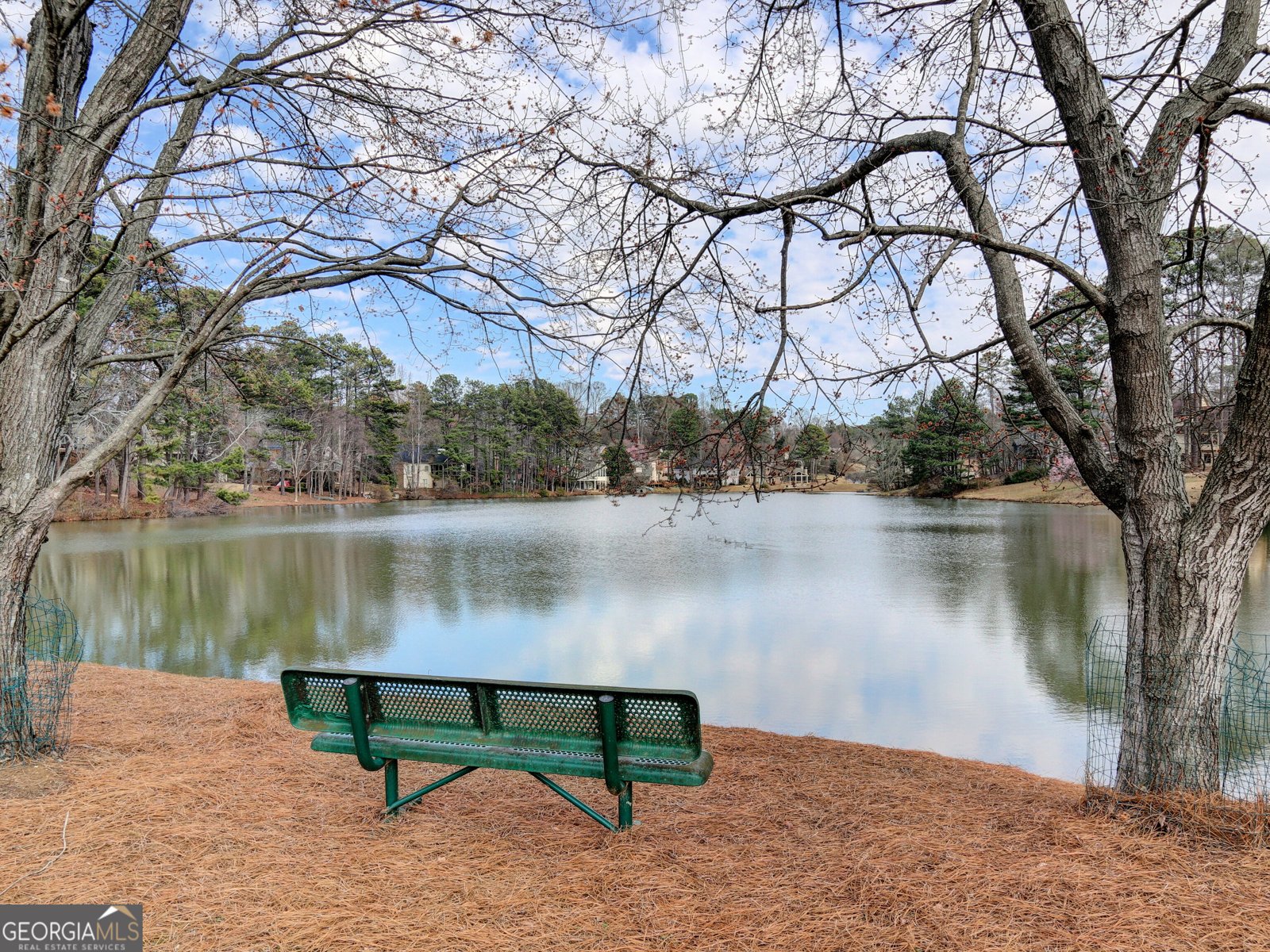157 Eastlake Point Kennesaw - 37