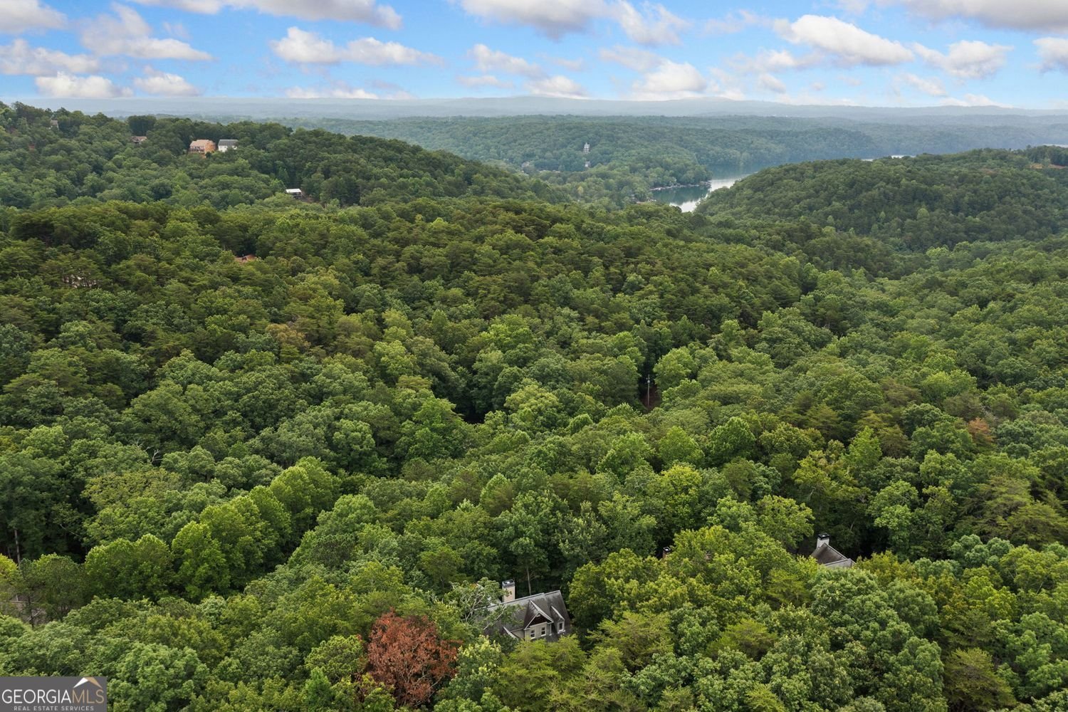 230 White Eagle Drive Drive Waleska - 33