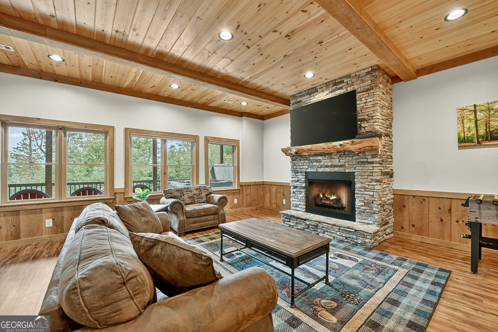 28 Aska Forest Trail Blue Ridge - 25