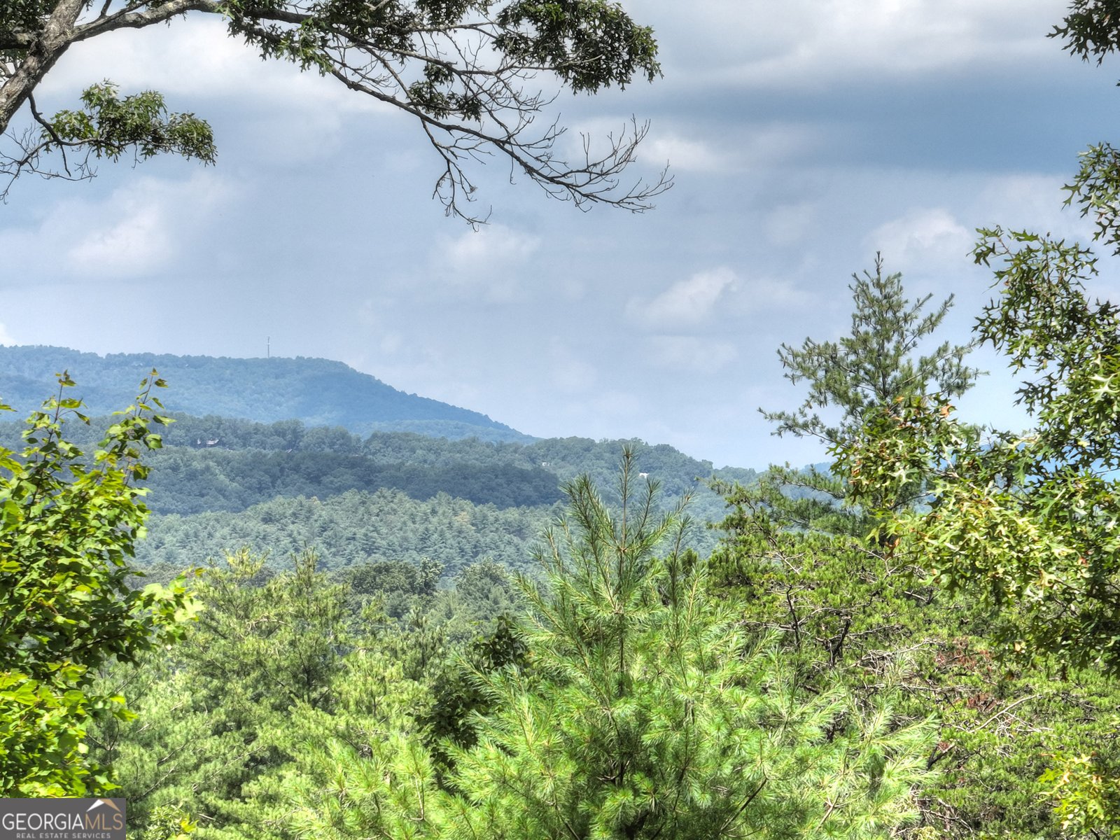 28 Aska Forest Trail Blue Ridge - 37