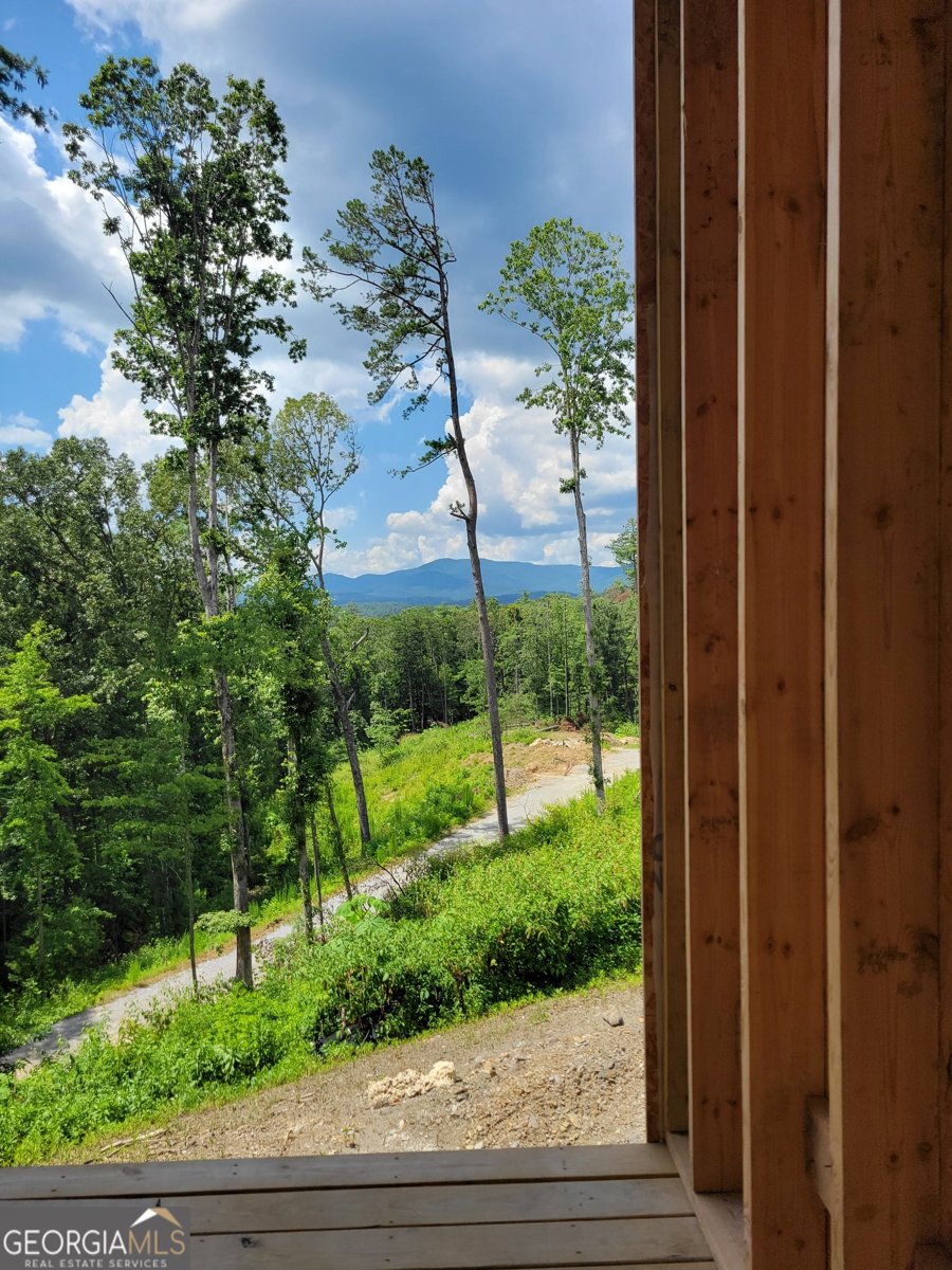 1705 Old Northcutt Road Ellijay - 14