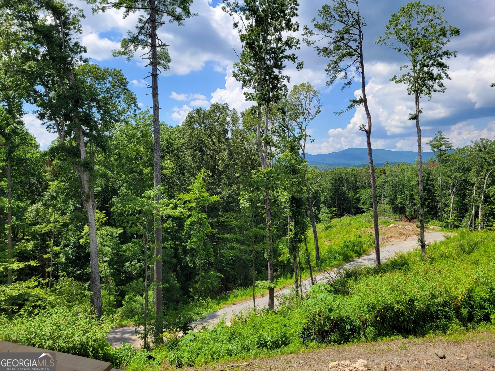 1705 Old Northcutt Road Ellijay - 2