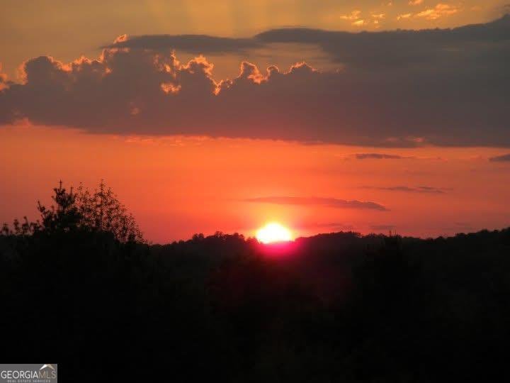 251 Quail Cove Lane Brasstown - Photo 39