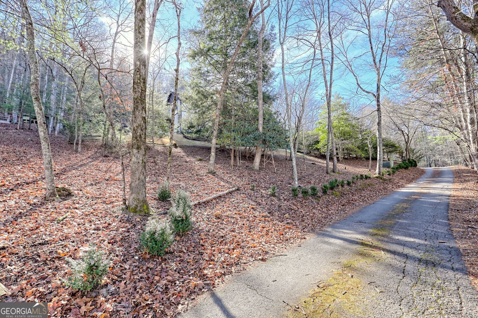 251 Quail Cove Lane Brasstown - Photo 88