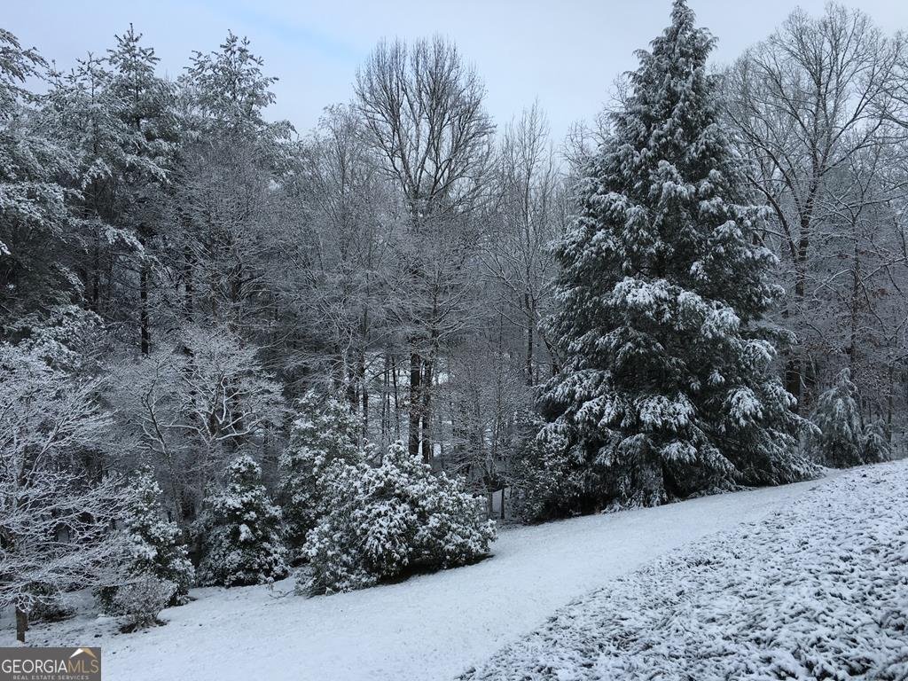 251 Quail Cove Lane Brasstown - Photo 97