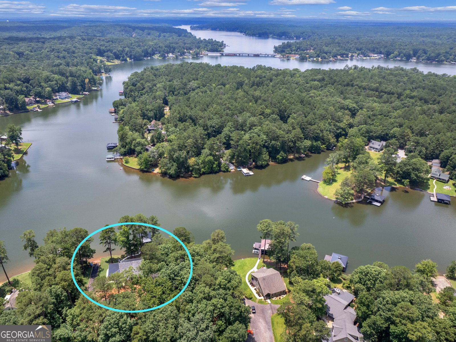 1659 Long Piney Road Mansfield - 46