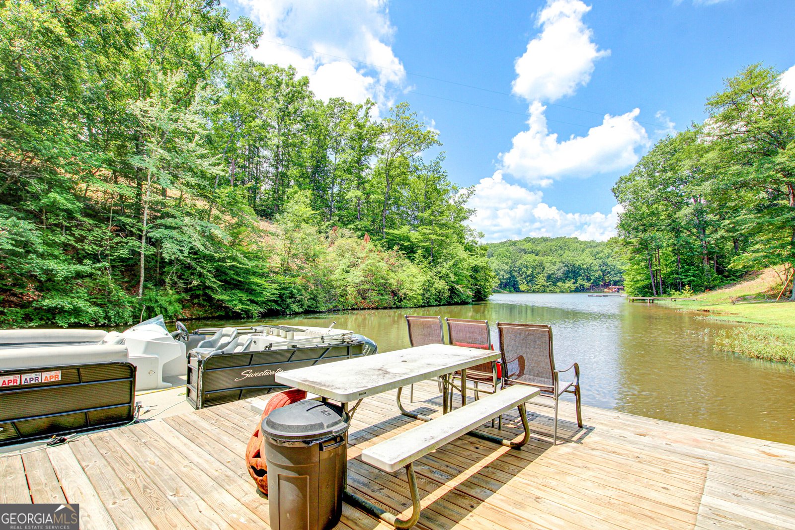 633 Woodgate Shores Drive Wedowee - 32
