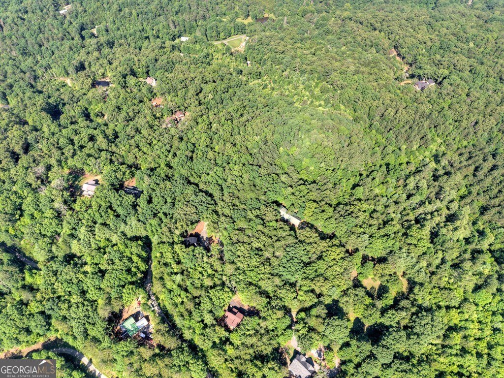45 Wolf Creek Mountain Rd Mineral Bluff - 49