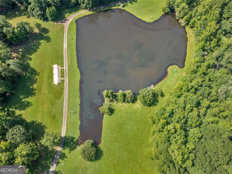 598 ELLIOTT Road McDonough - 61