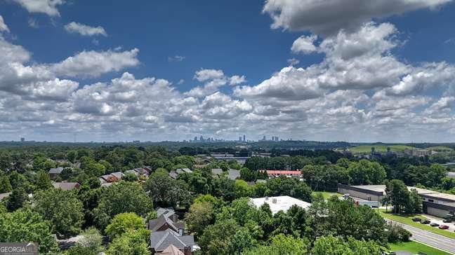2705 Woodland Brook Lane Atlanta - 23