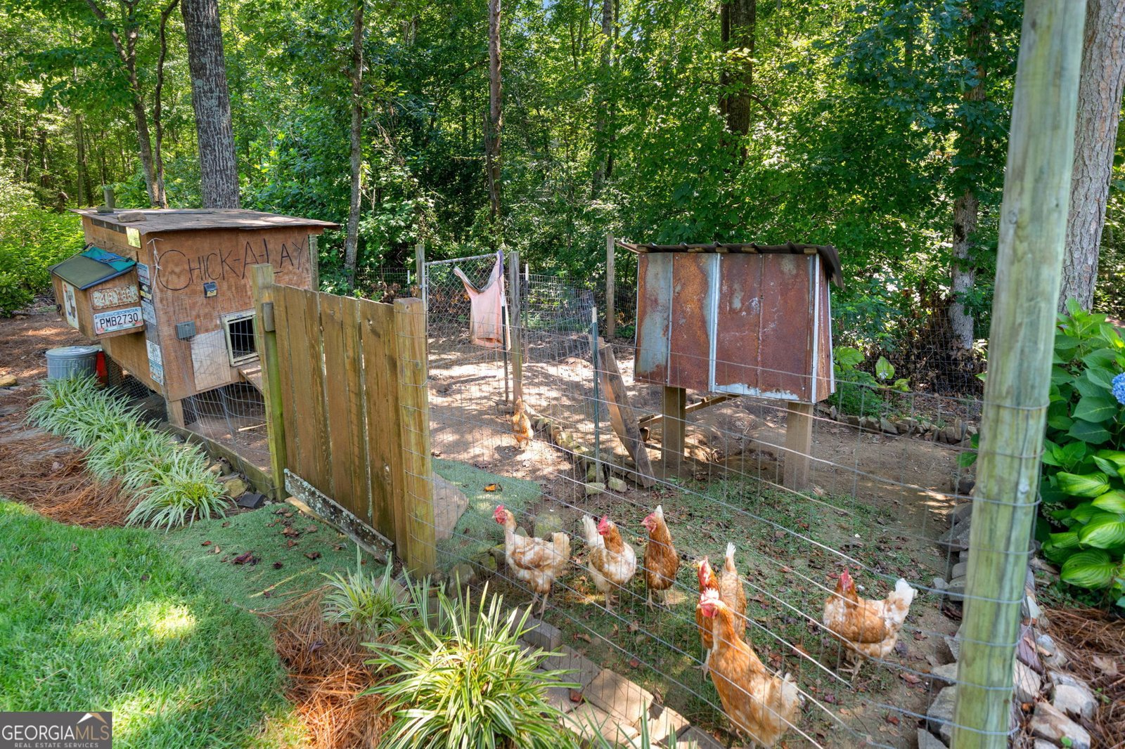230 Williams Lane Ball Ground - 48