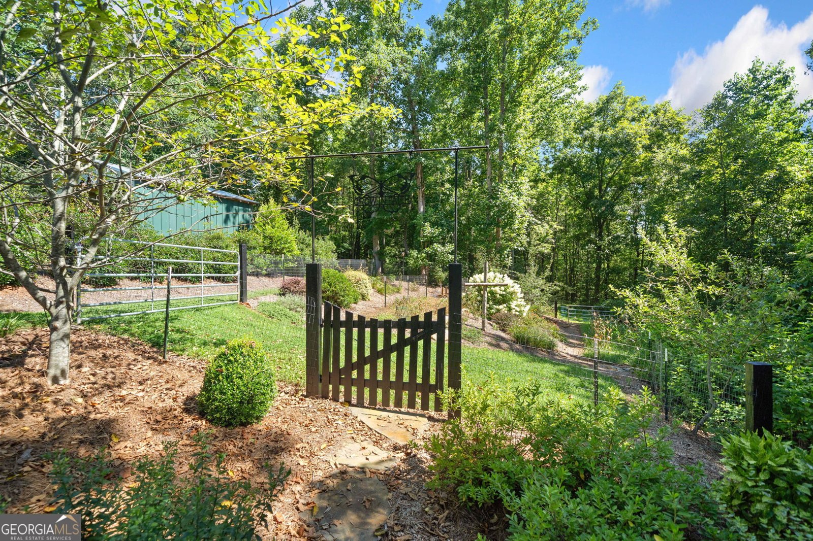 230 Williams Lane Ball Ground - 49
