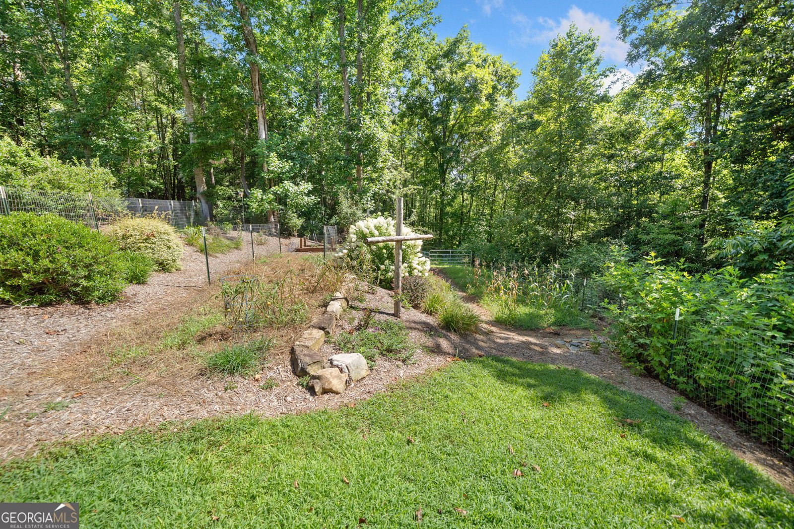 230 Williams Lane Ball Ground - 50