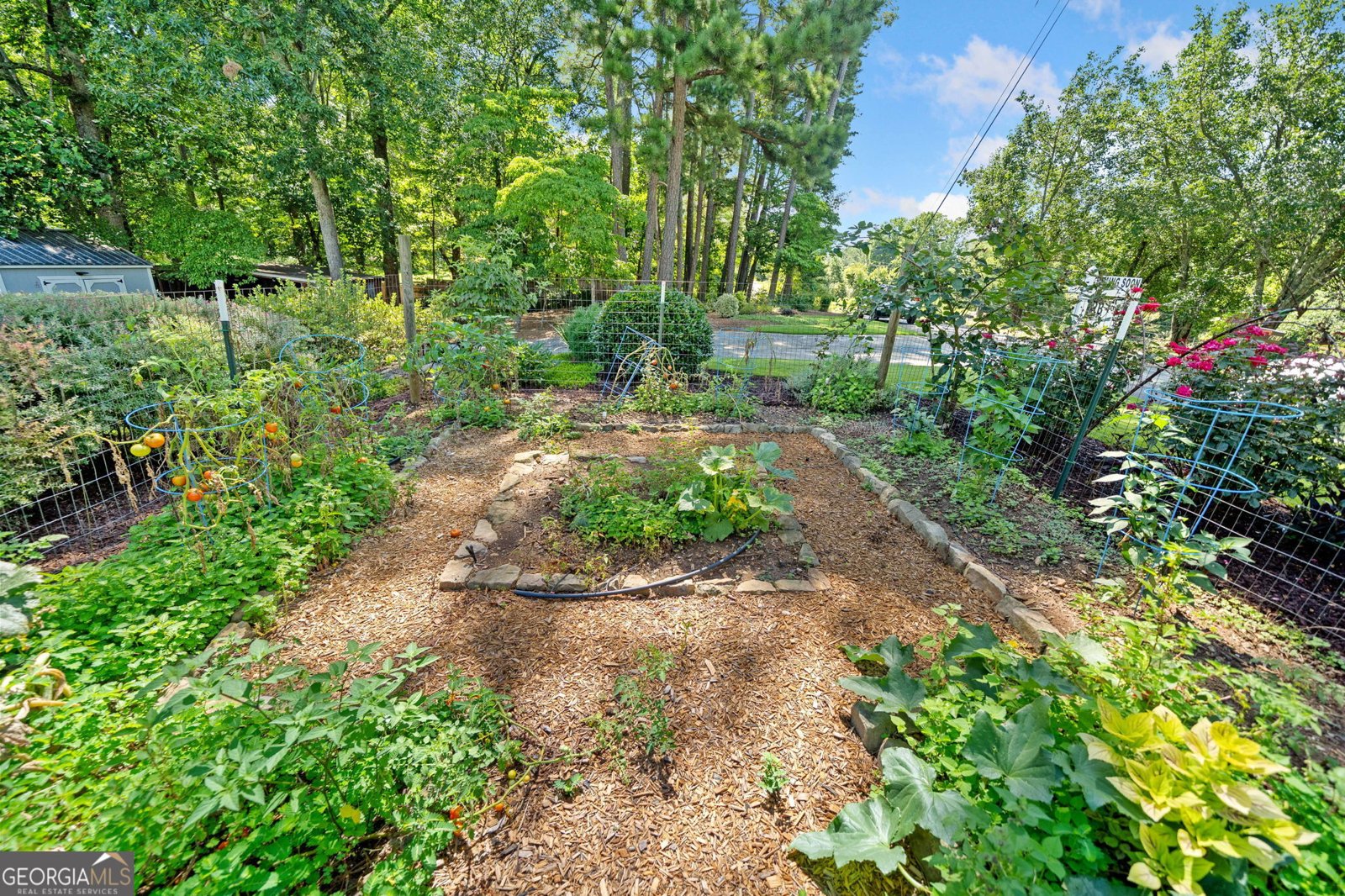 230 Williams Lane Ball Ground - 56