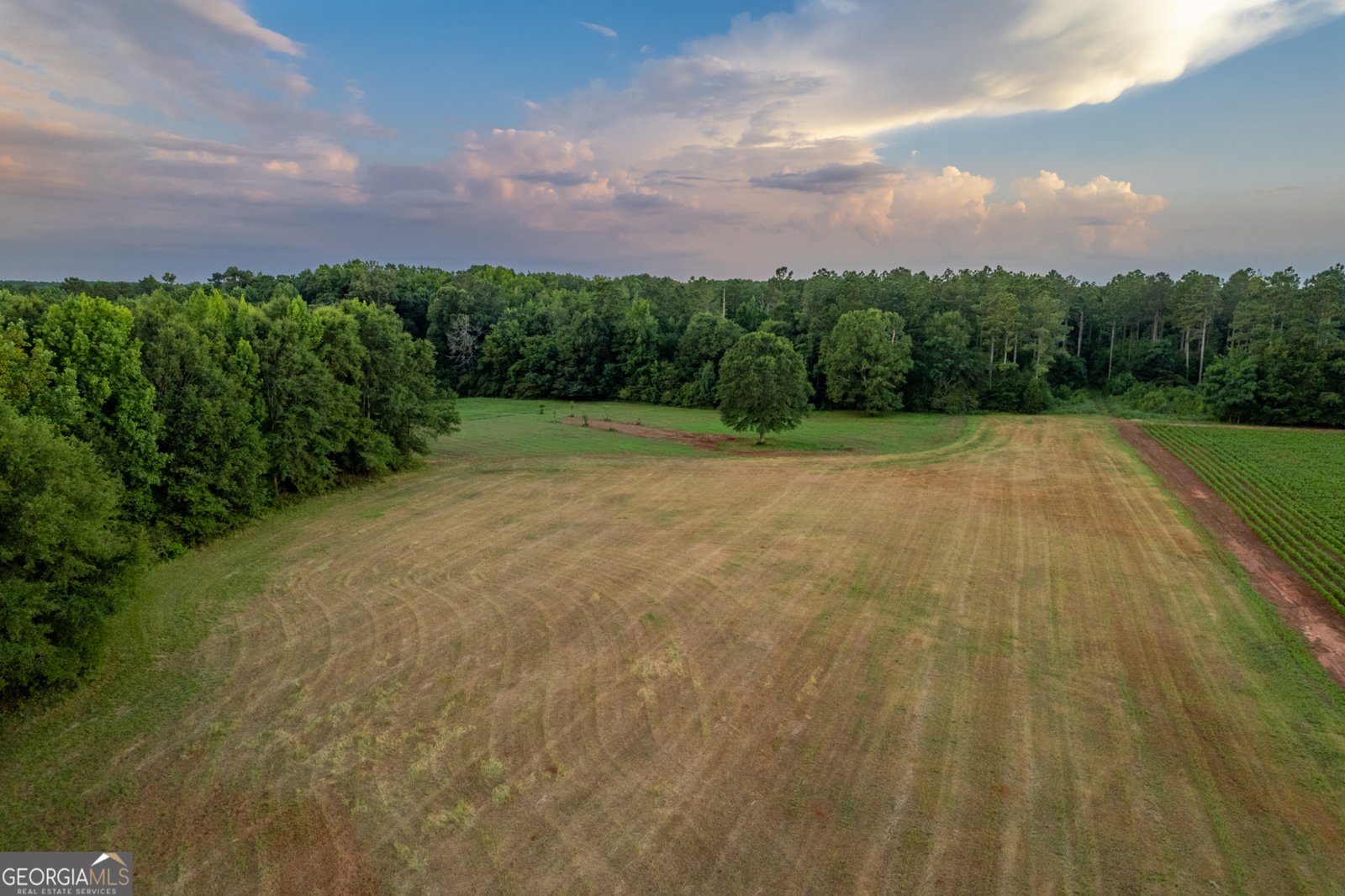 2070 Walter Shepherd Road Rutledge - 17