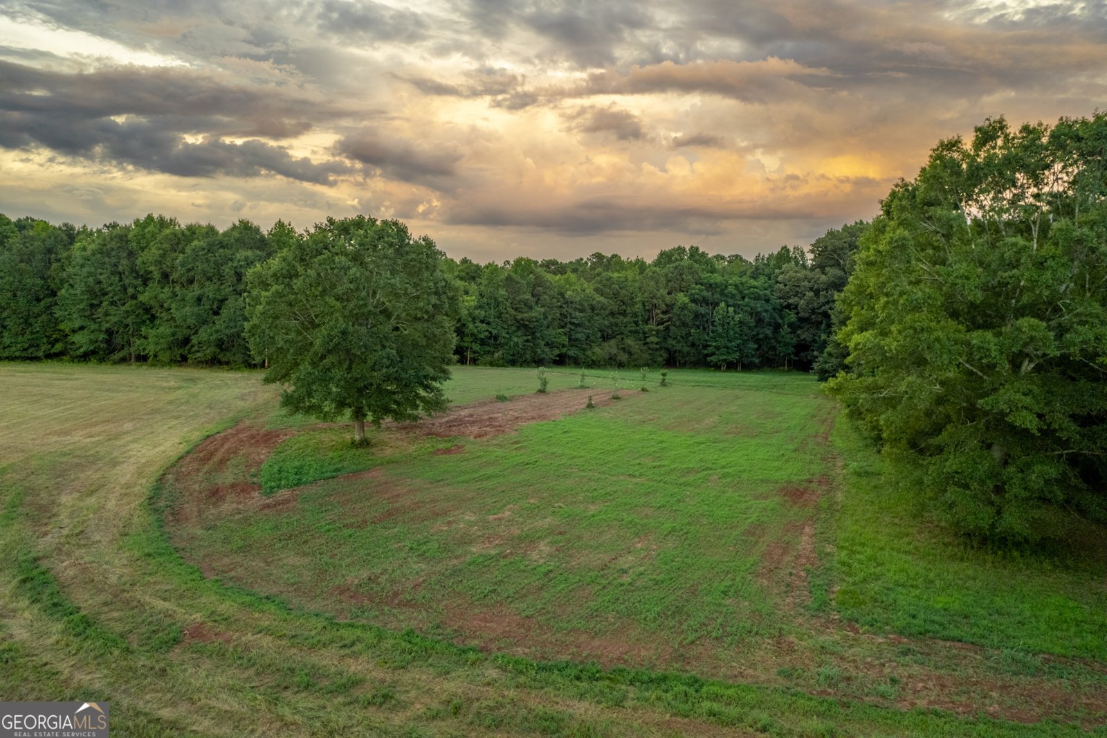 2070 Walter Shepherd Road Rutledge - 19
